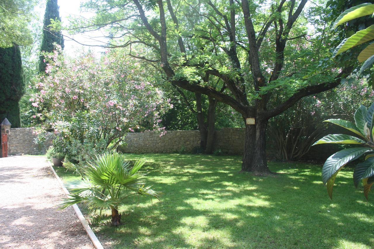 Auberge De Pachoquin Meounes-les-Montrieux Εξωτερικό φωτογραφία